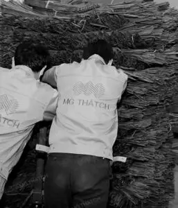 Synthetic palm leaves pushed into warehouse for storage-MGTHATCH